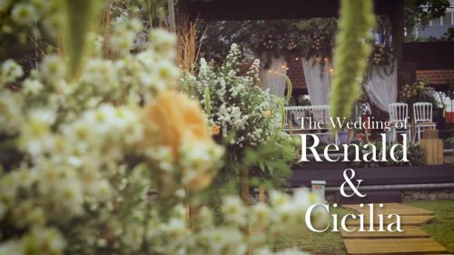 Read more about the article Wedding Renald & Cici